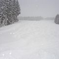 DSC07700b
