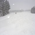 DSC07701b