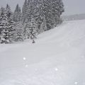 DSC07702b