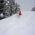 DSC07708b