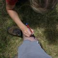 IMG_3314_resize_resize