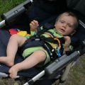 IMG_3346_resize_resize