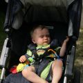 IMG_3347_resize_resize