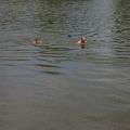 IMG_3348_resize_resize