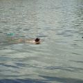 triathlon-007