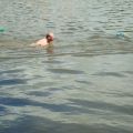 triathlon-008