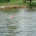 triathlon-010