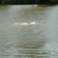 triathlon-011