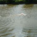triathlon-012