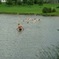 triathlon-032