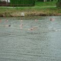 triathlon-034