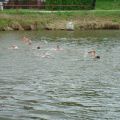 triathlon-036