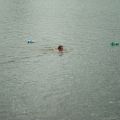 triathlon-062