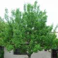DSC06601