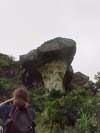 the mushroom rock