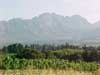 wineries near Cape Town