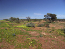 0051DSC05599