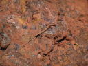 0478DSC06568